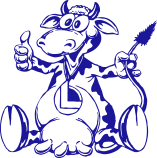 Opracowanie informacji o realizowanej strategii podatkowej.